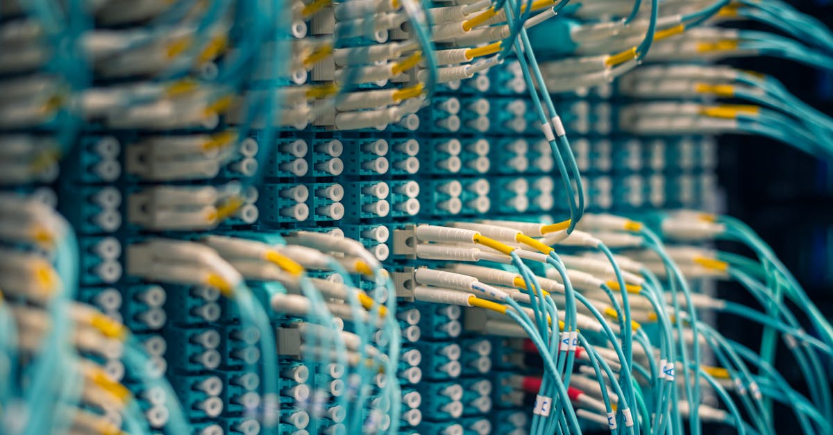 无限互联实名账号:流量卡和手机流量的区别对比,哪个更适合你?