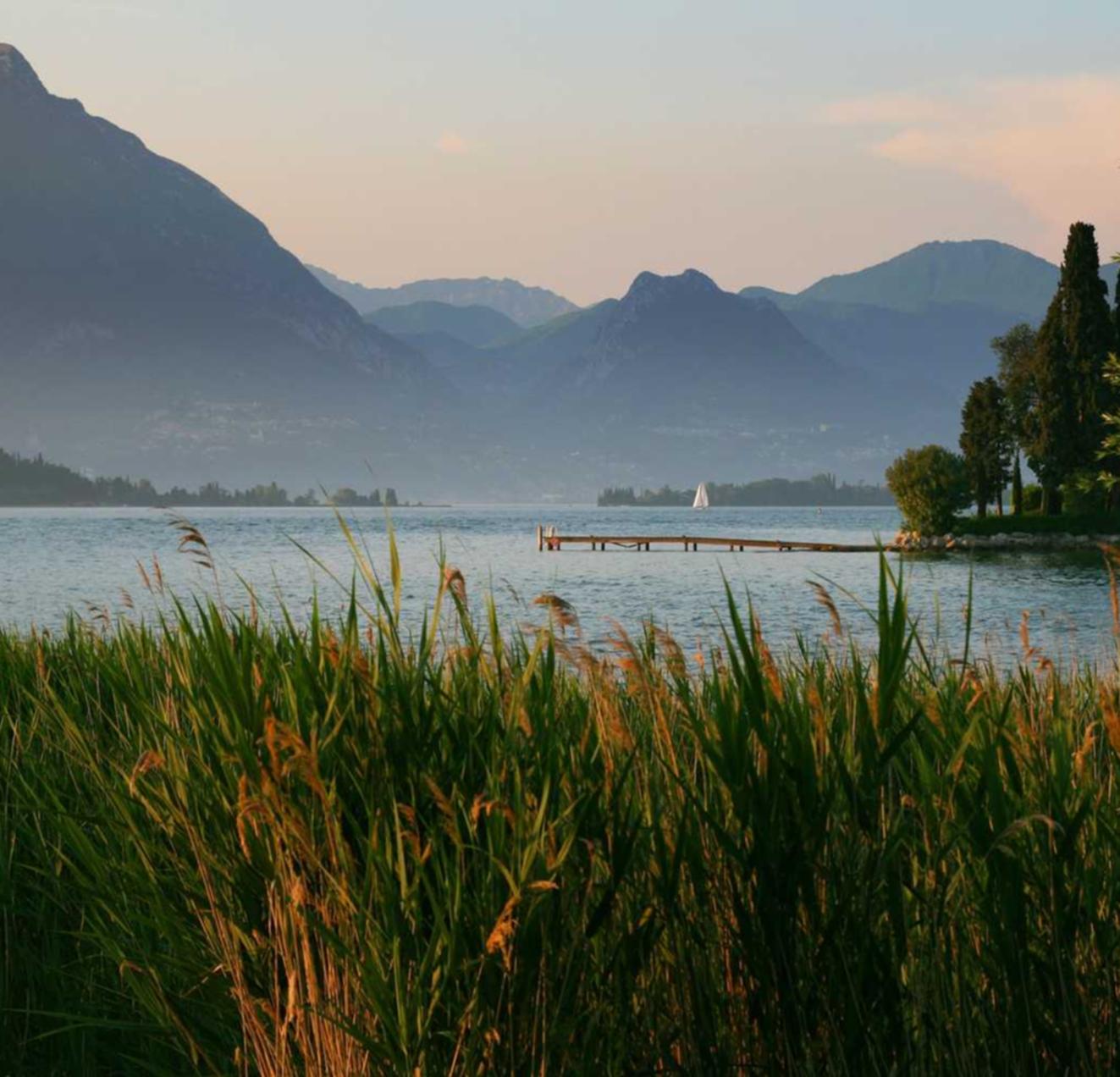 雷神娱乐,注册|代理返佣平台哪个好