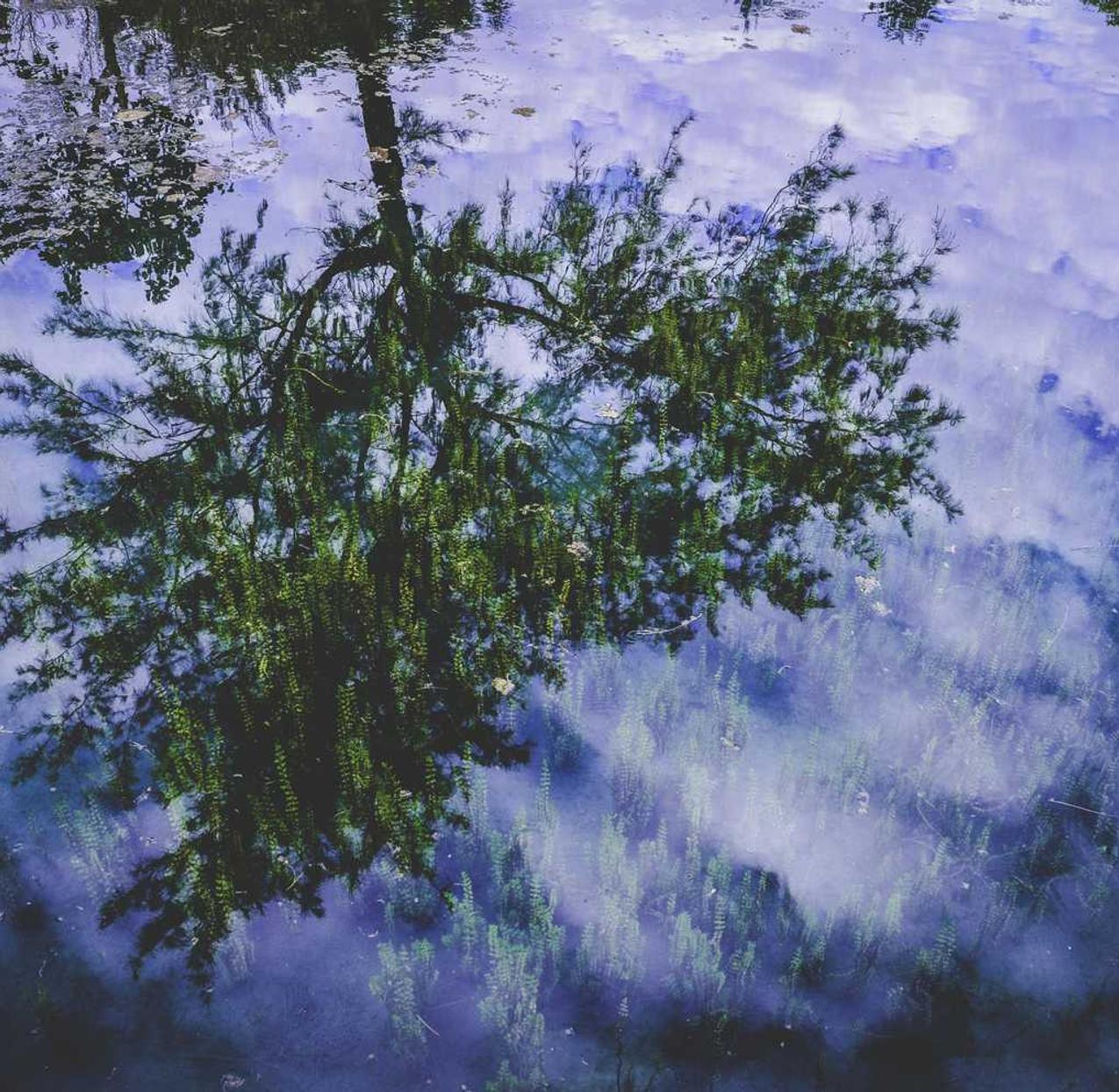 在线DDOS平台攻击|黑客如何利用网络游戏攻击计算机系统