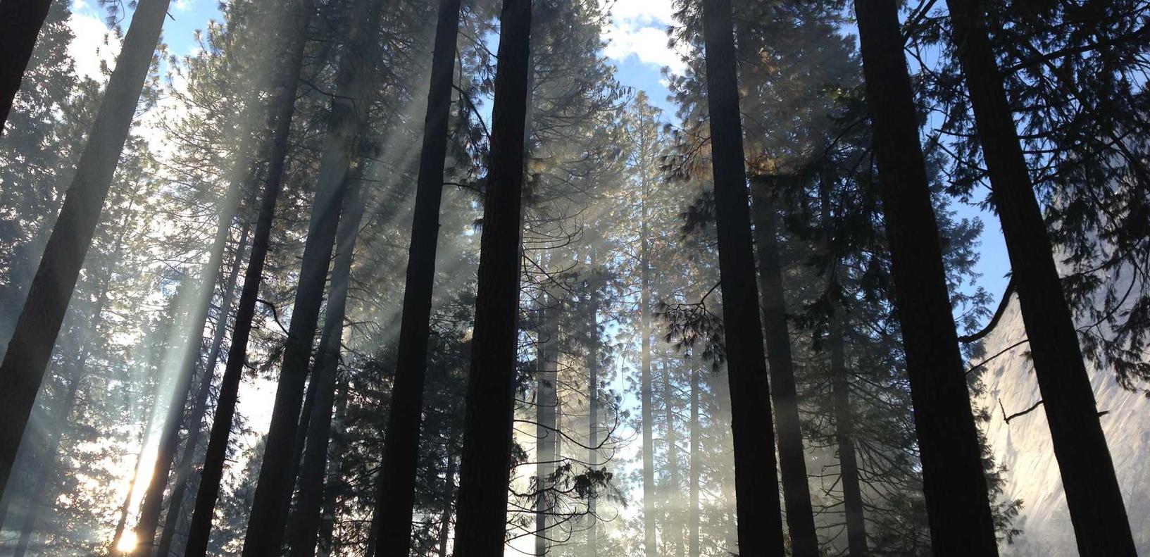 豪门足球风云：货运线上平台代理加盟