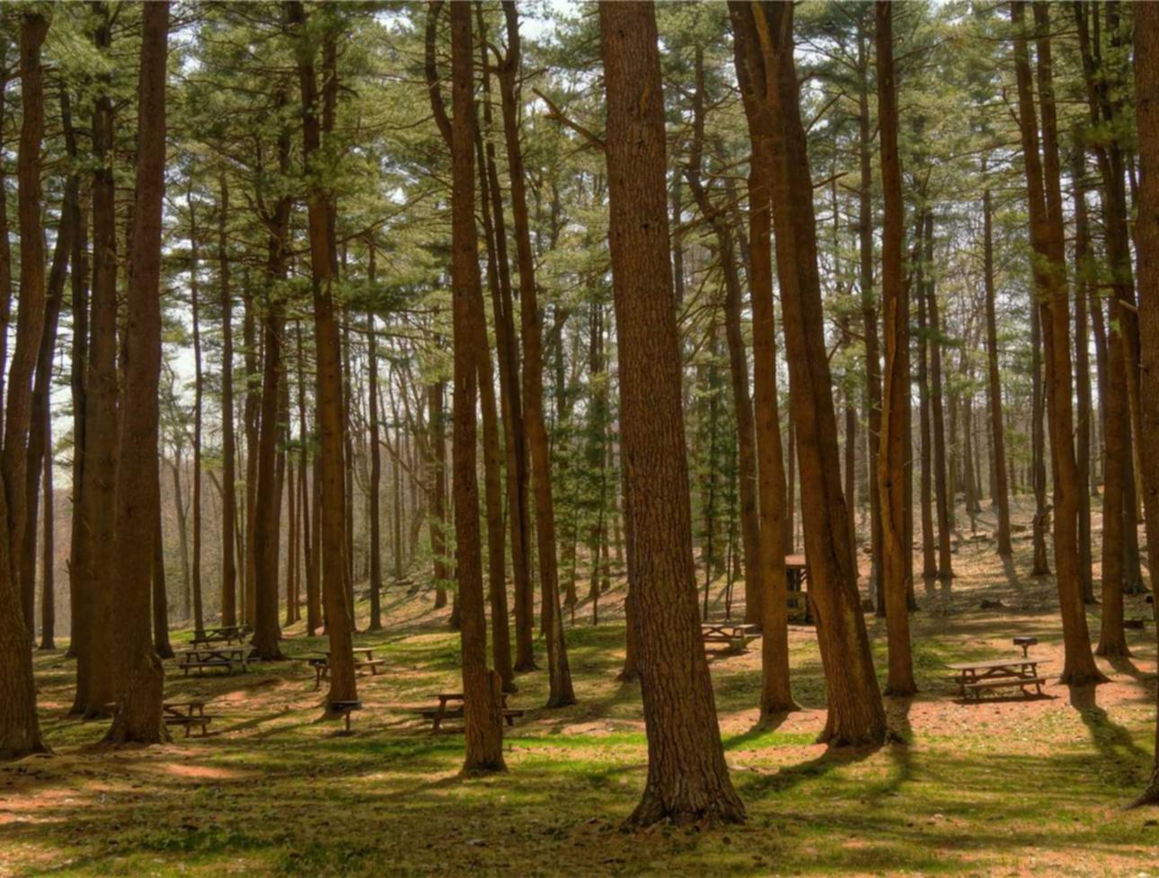 宇宙ip实名账号:实名制和在线直播