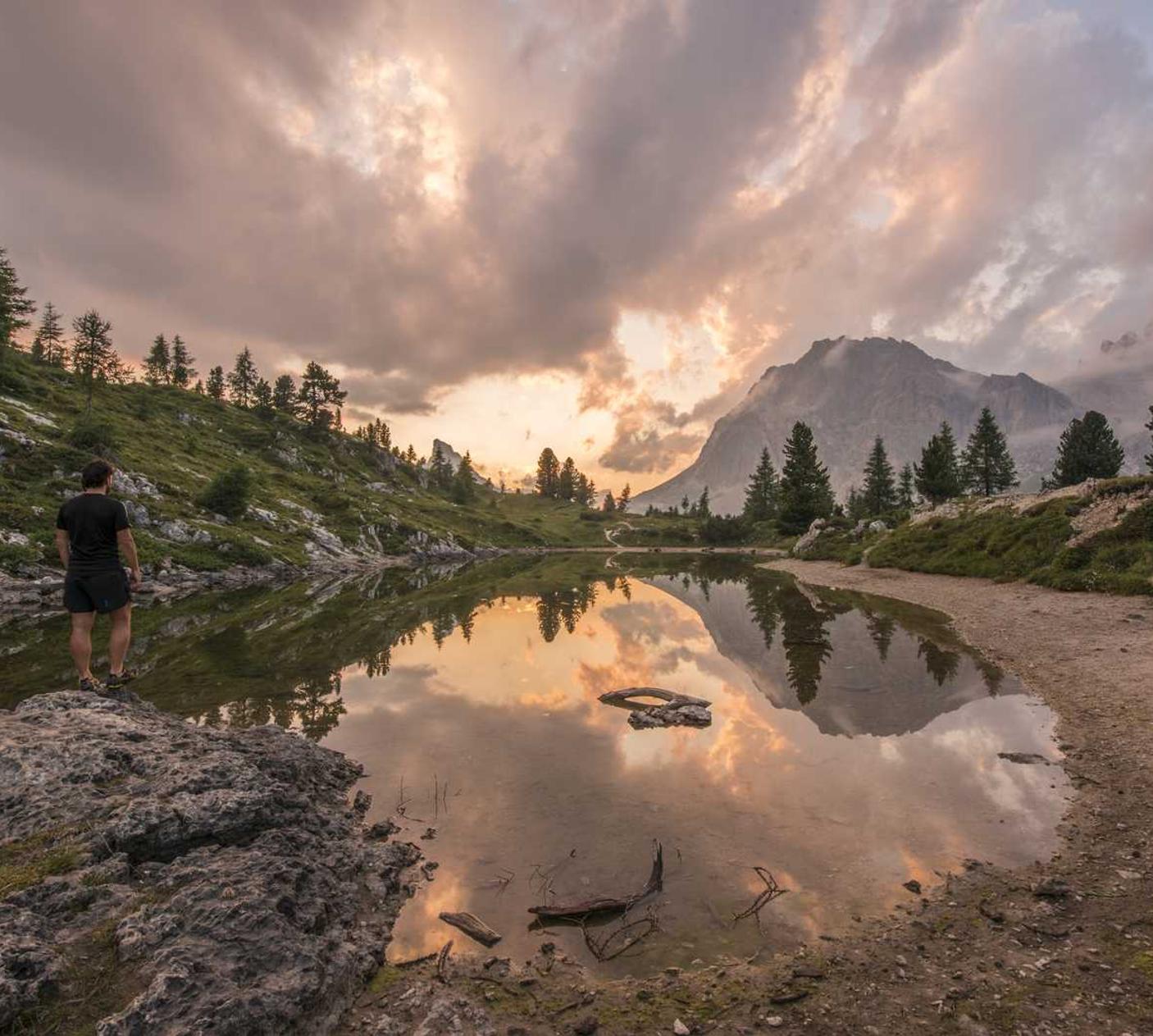 侧推类人猿爆珠:大宗平台代理
