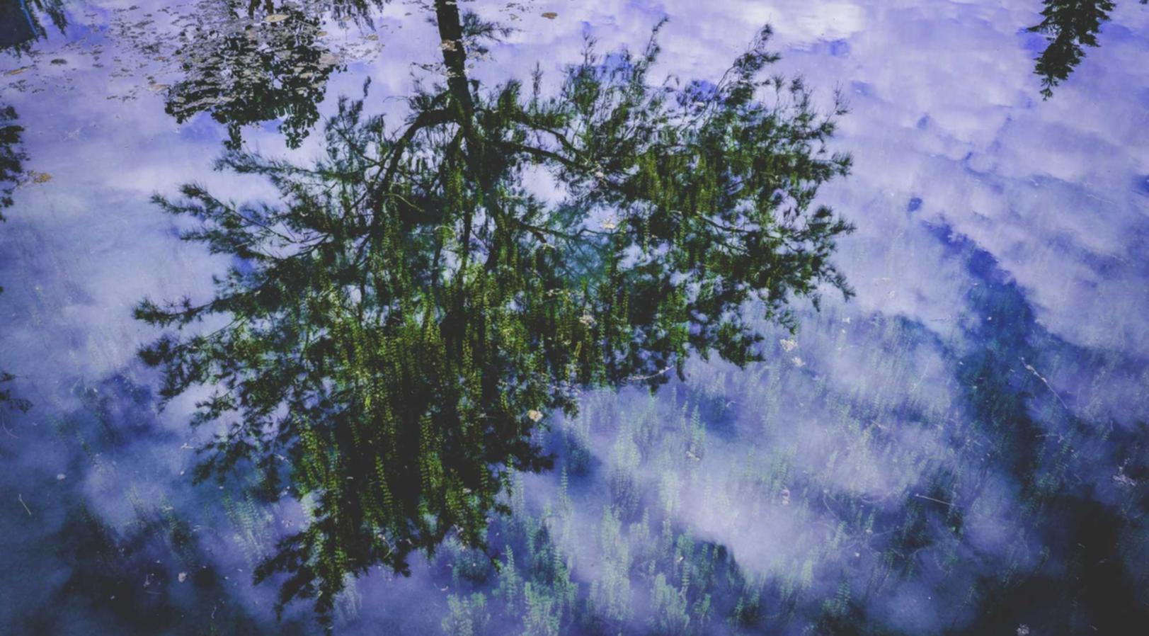 友盟实名账号:成语大神app详情下载教程