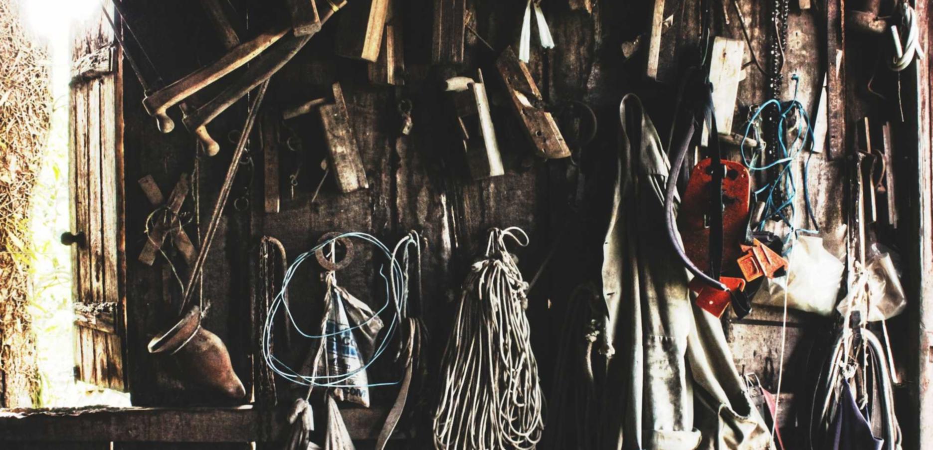 亿速云实名账号:獭兔宠物购买平台