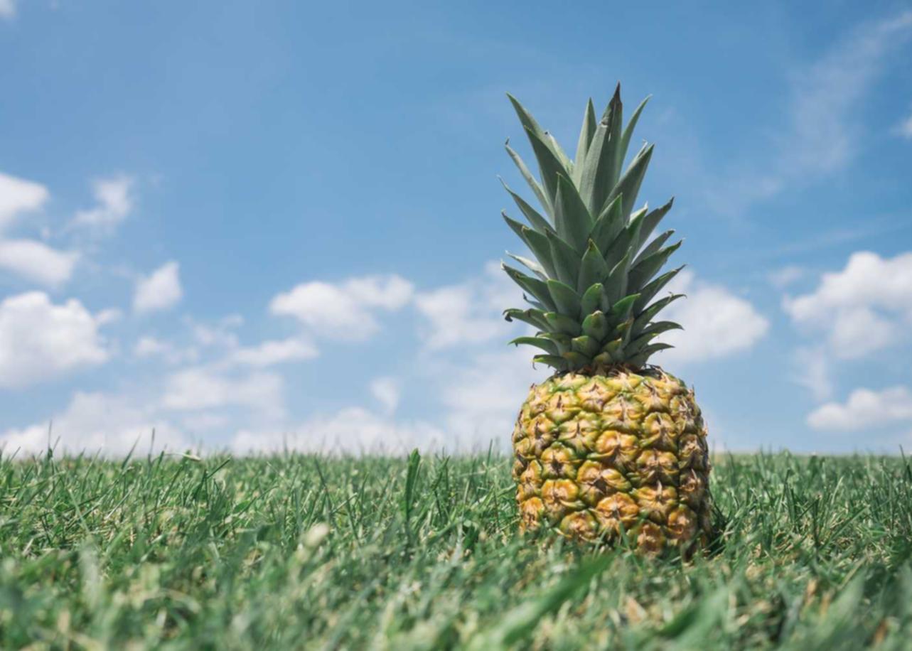 电销手机卡实名实名账号:888电玩城官方详情下载教程app