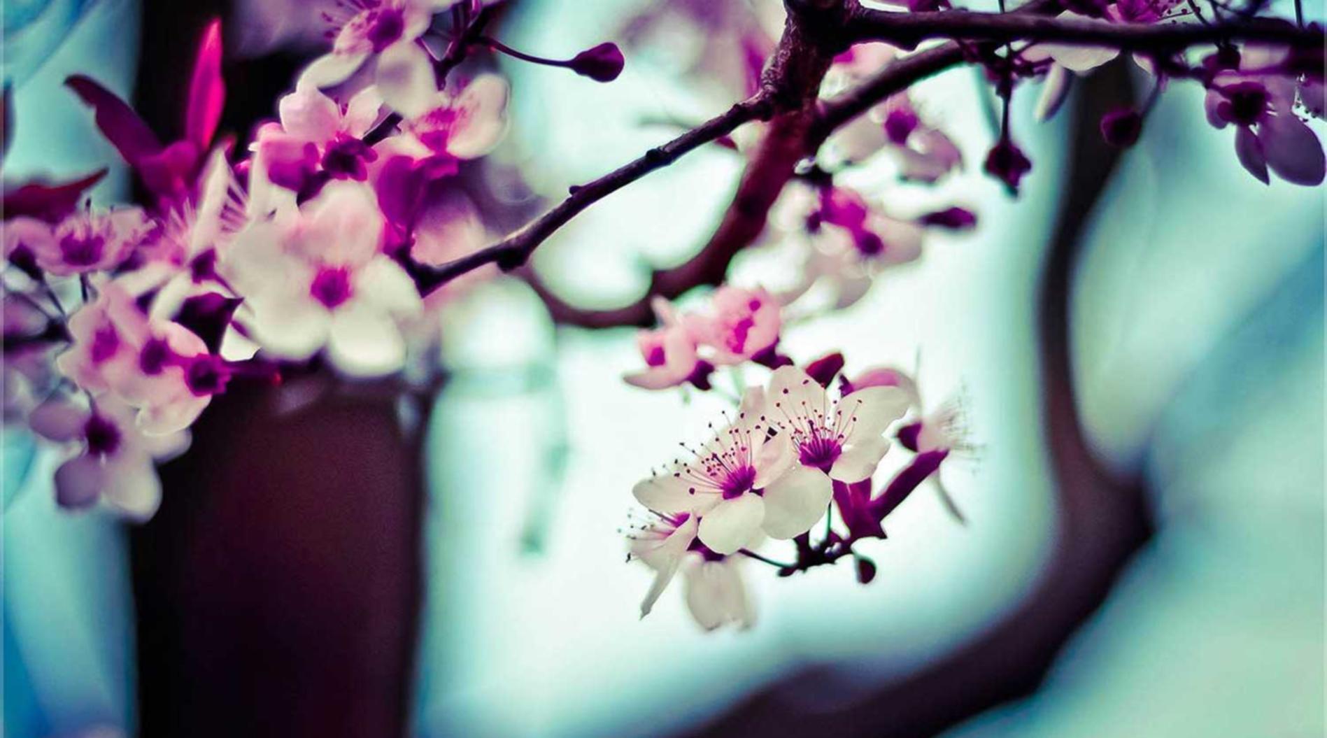 游戏产业链与技术支持辅助黑色产业链的对决