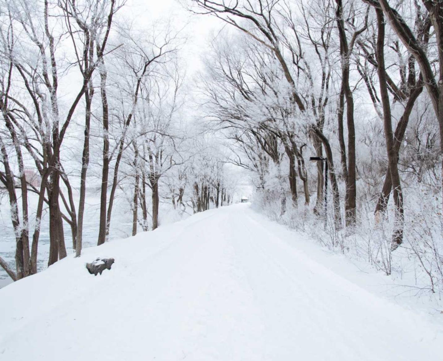 如何在家里消除吸烟的痕迹?