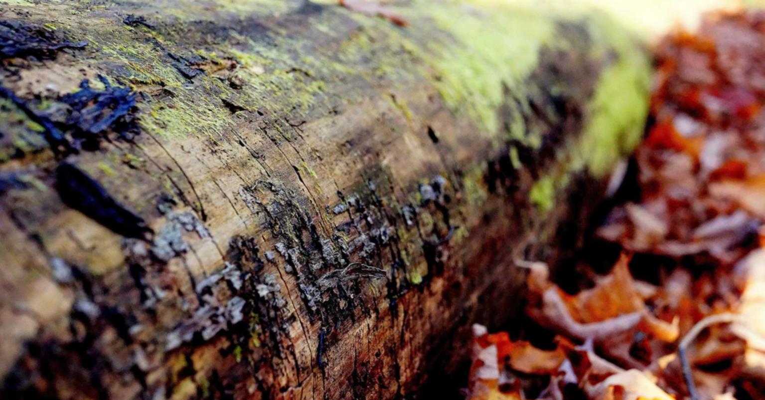 买卖微信号后:流量卡在金融领域中的作用和创新技术