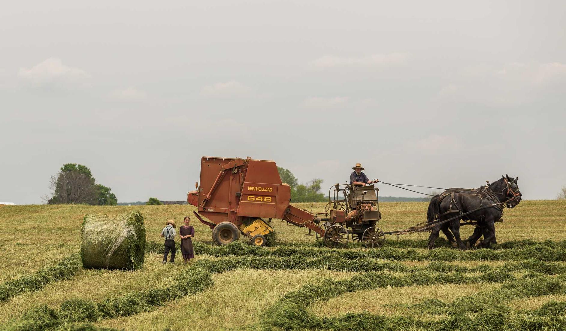 网站压力测试|聊呗app官方详情下载教程聊天