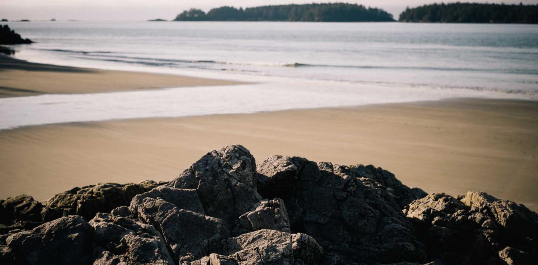 金洋娱乐,注册|欧盟数据库账号怎么注册