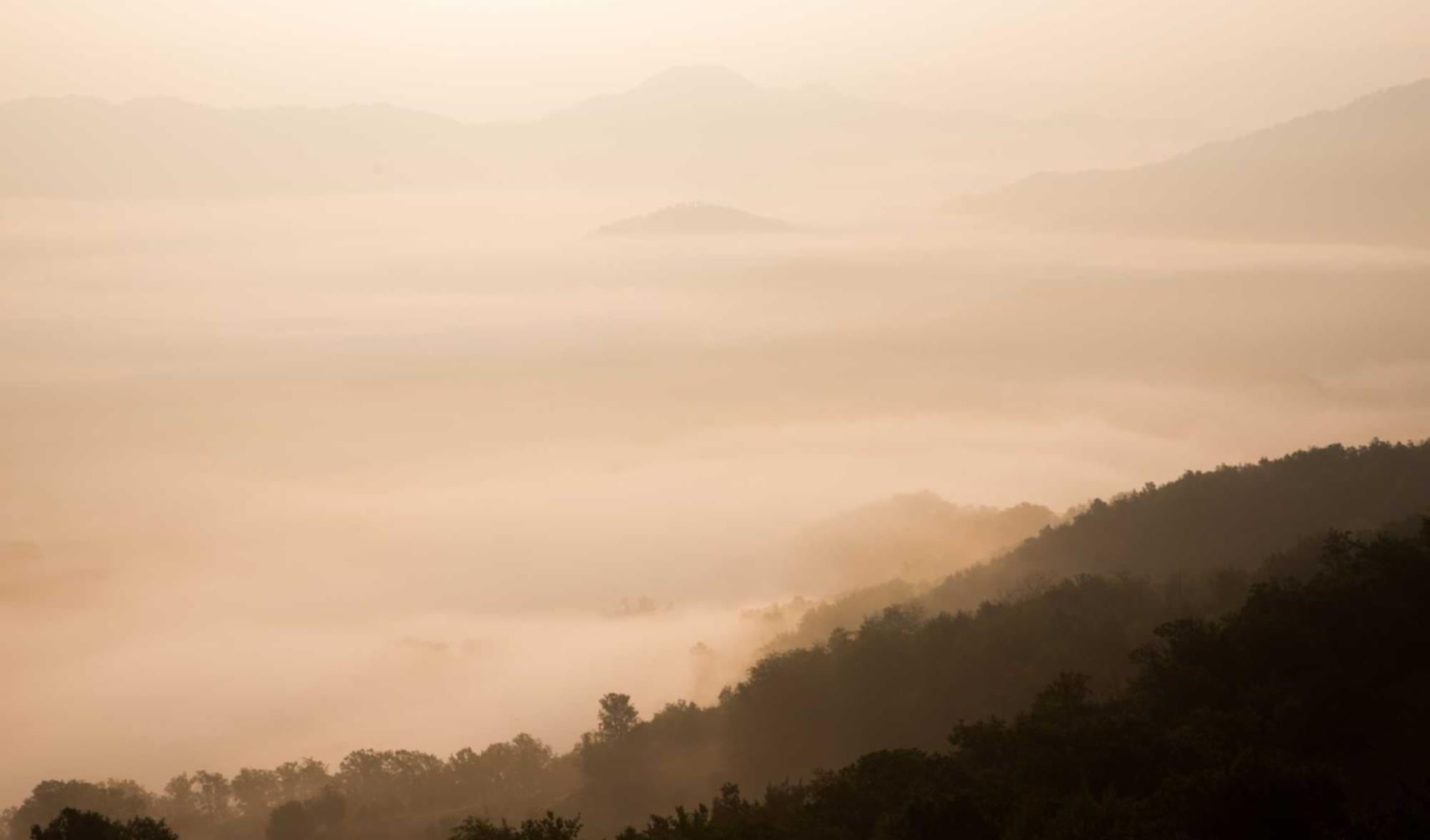 免费DDOS攻击平台|超级看影院app详情下载教程