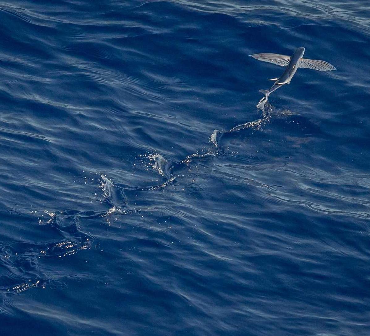 DDOS平台|淘宝企业店铺账号注册不了