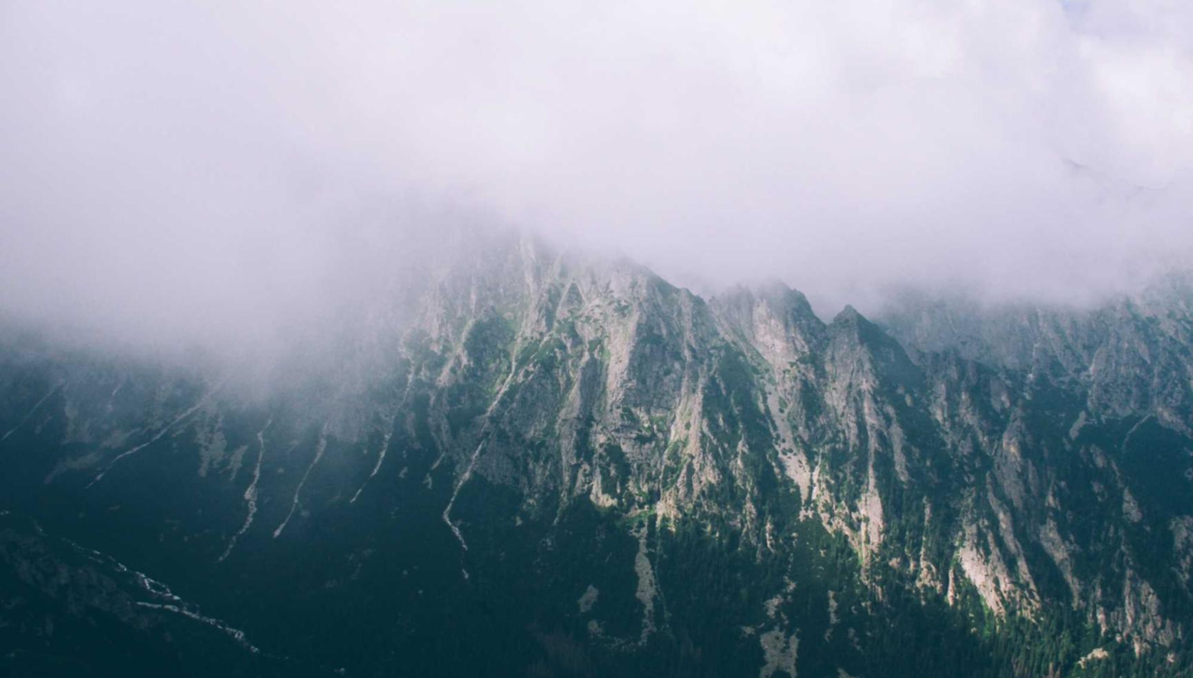 正规得流量卡:车管所的app详情下载教程