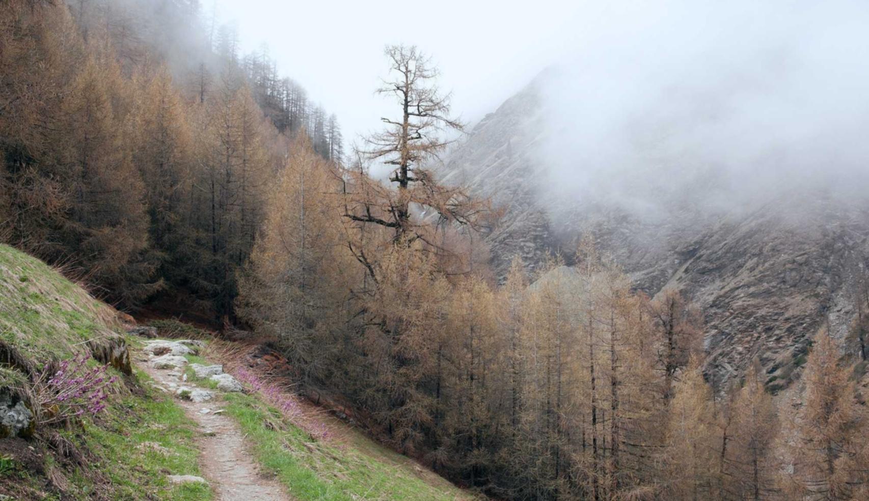 最强短信在线轰炸系统源码实名账号:流量卡的防安全防护措施