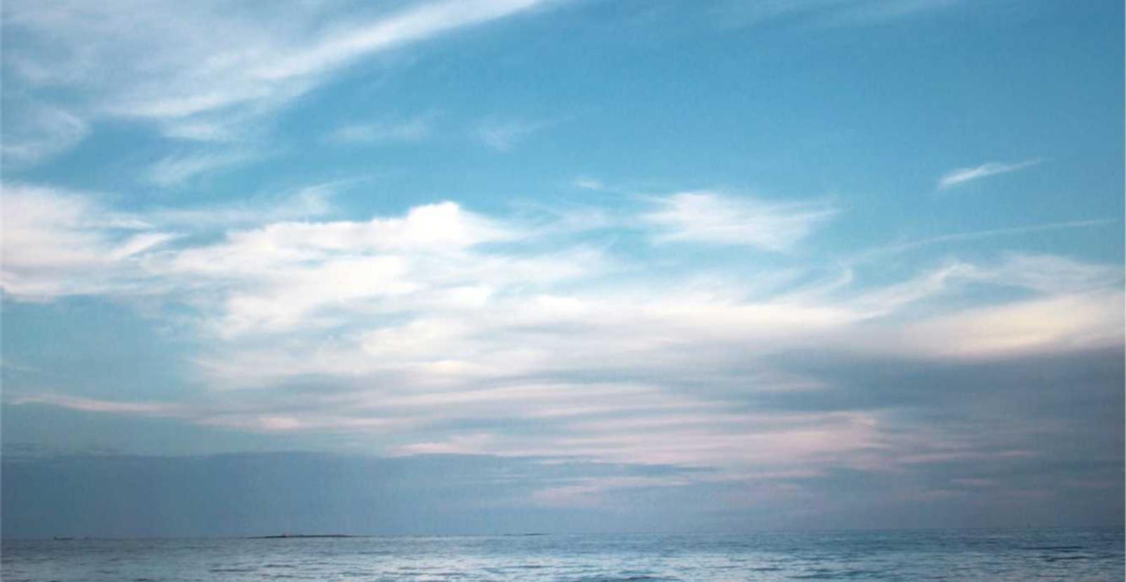 京东云实名账号:熊猫之夜APP详情下载教程