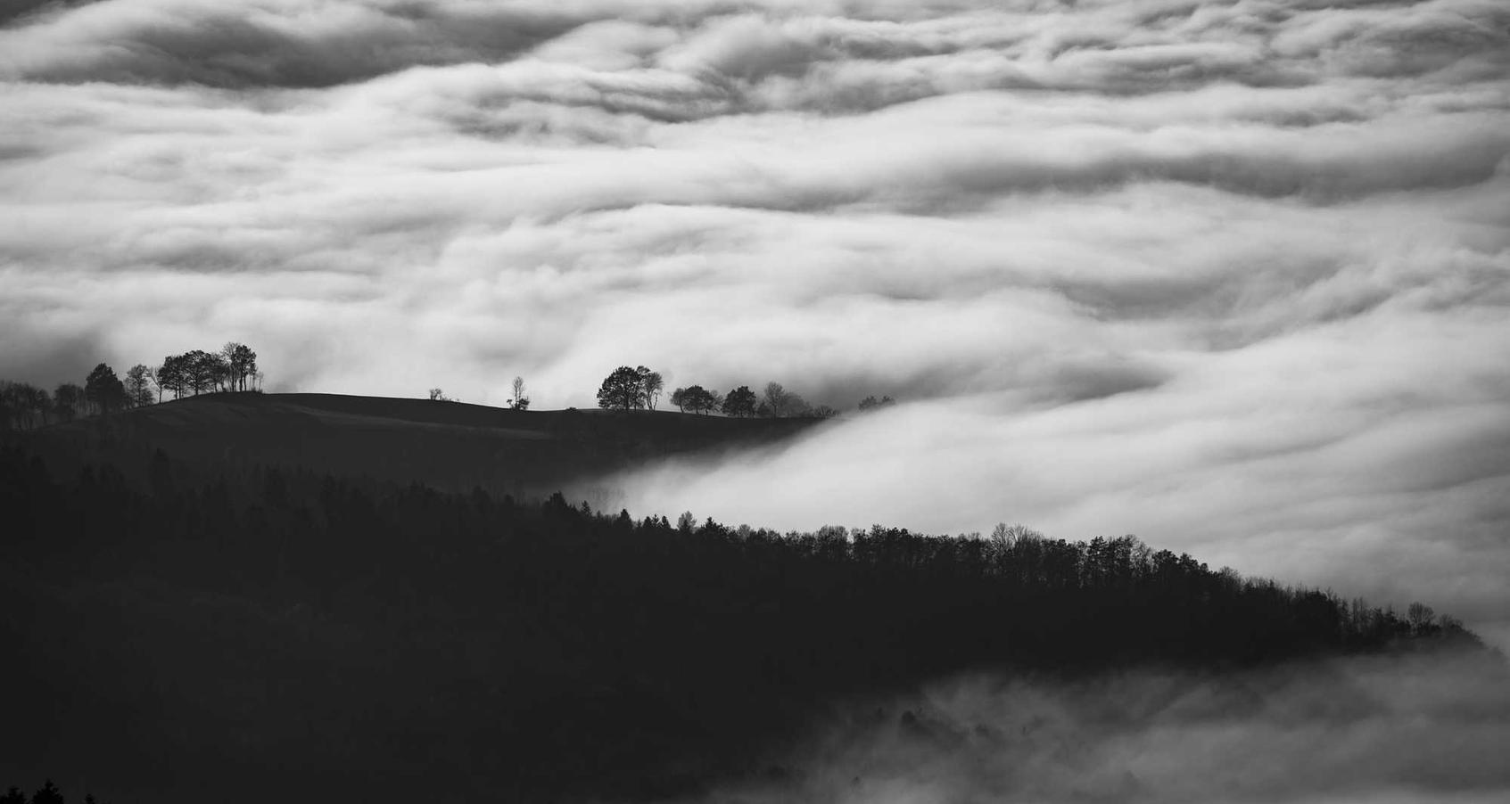 微信老号买卖:猫猫app详情下载教程