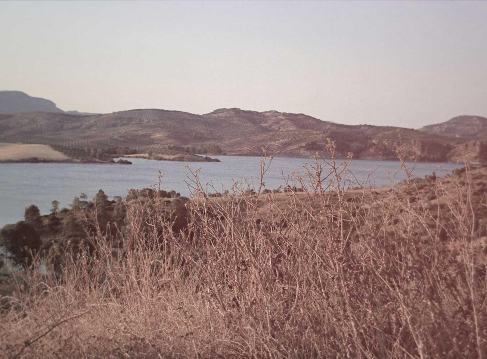 ddos:如何使用短信提升你的学生参与和成绩?