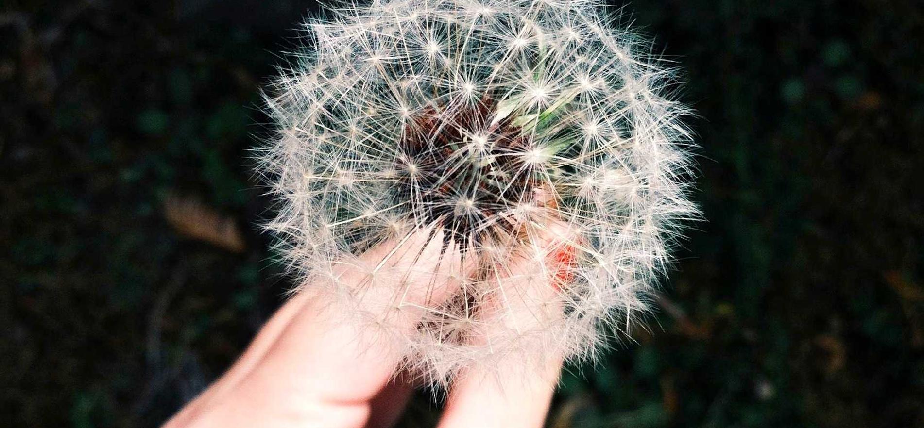 富途浦东代理公司注册代理费