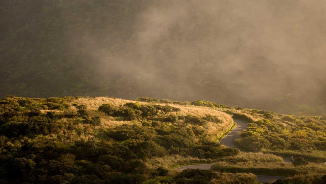 营运车购买平台