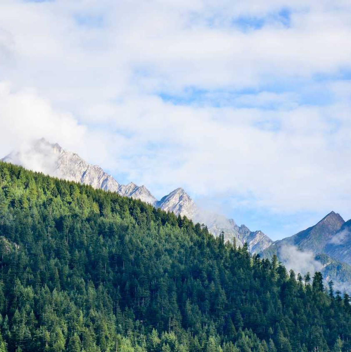 画江湖app官方详情下载教程