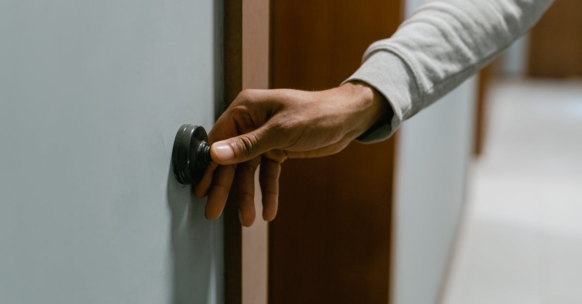 Bohem宝恒树叶3+17爆珠（混合）：支付宝代理哪个平台好用