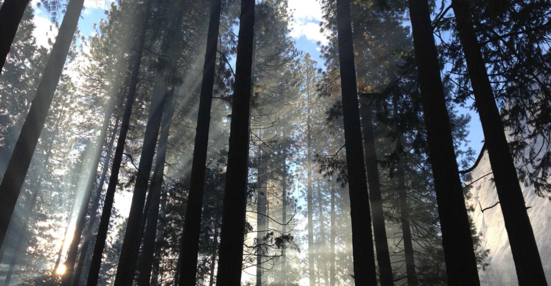 摩臣5ip节点购买平台