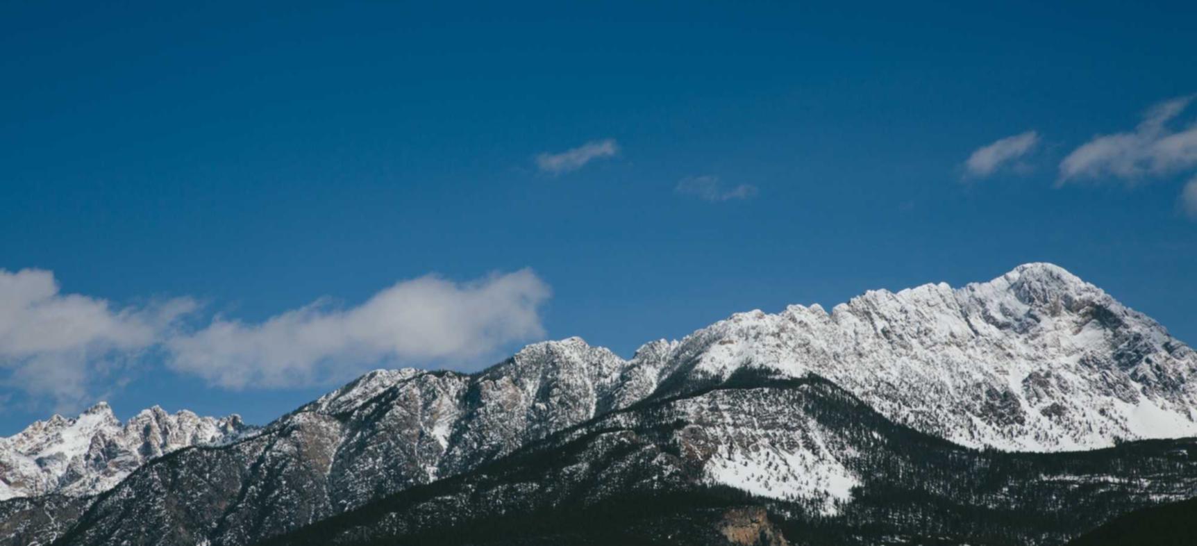 中免肯特薄荷蓝冰爆珠（5mg）：冠泽财富app详情下载教程
