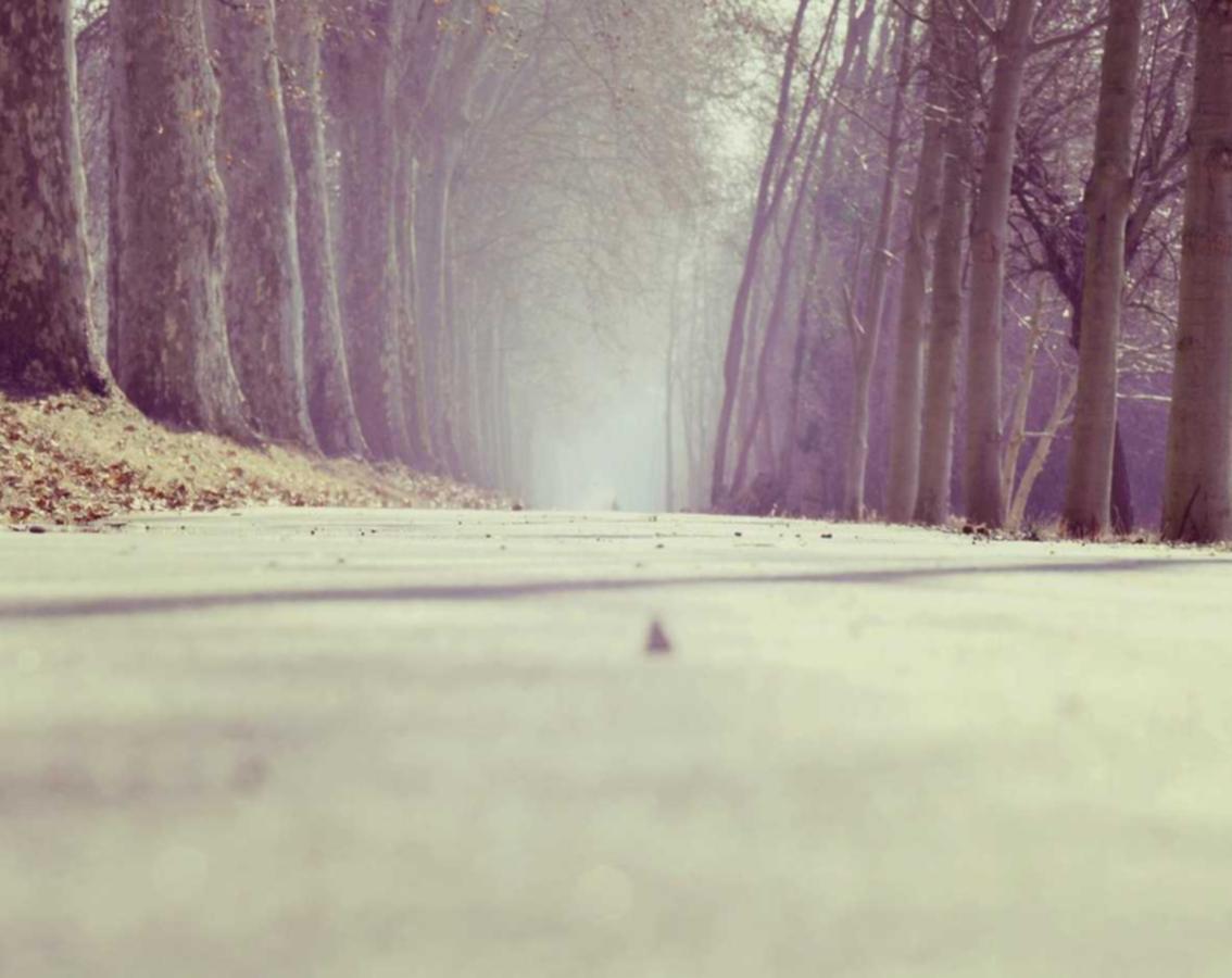 星辉2制定有效的品牌战略：策略环节的思考