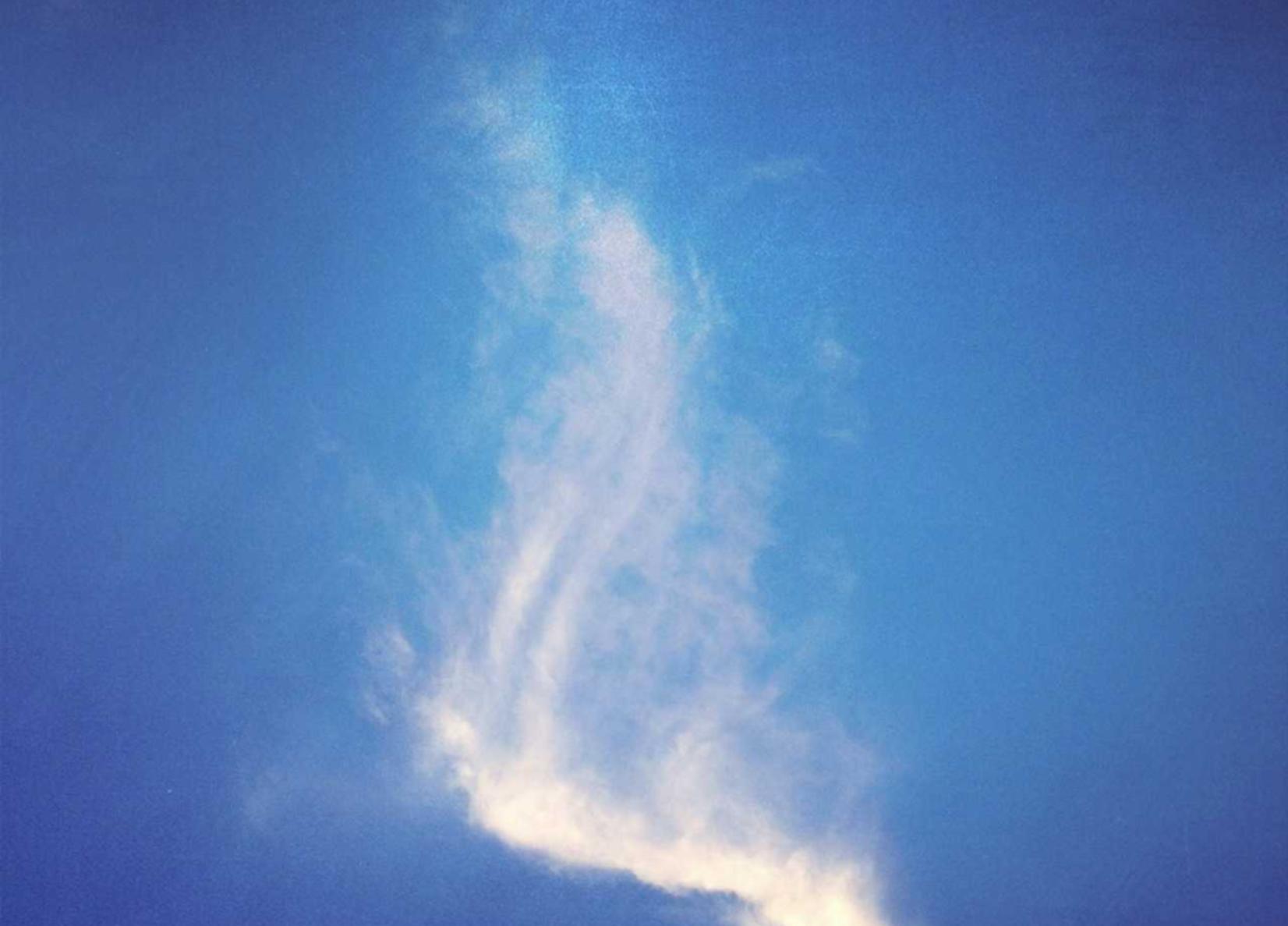 支付宝实名账号：流量卡如何避免被盗刷？网络小心机应对不法分子