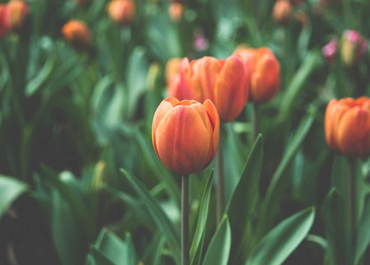 网站压力测试|小说代理平台怎么加入书架