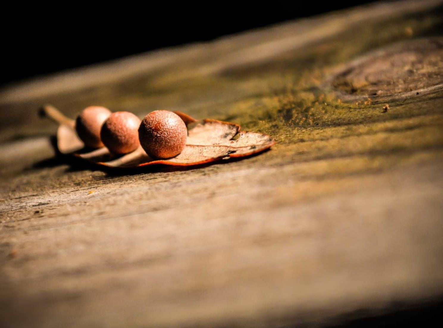 ORIS豪利时草莓双爆珠(细):织金线上购买平台