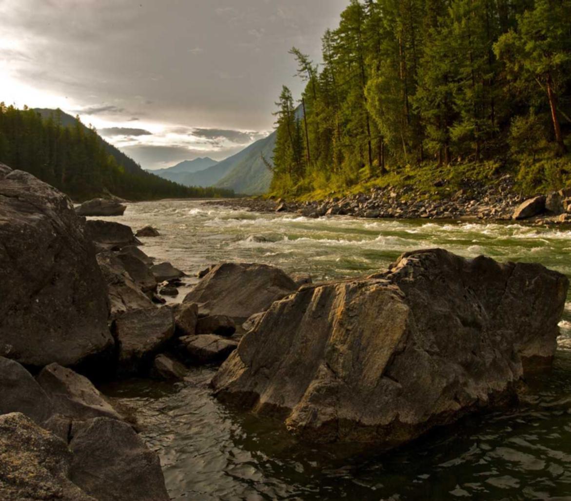 星美生活实名账号:实名认证,实现信息流动的自由和平衡