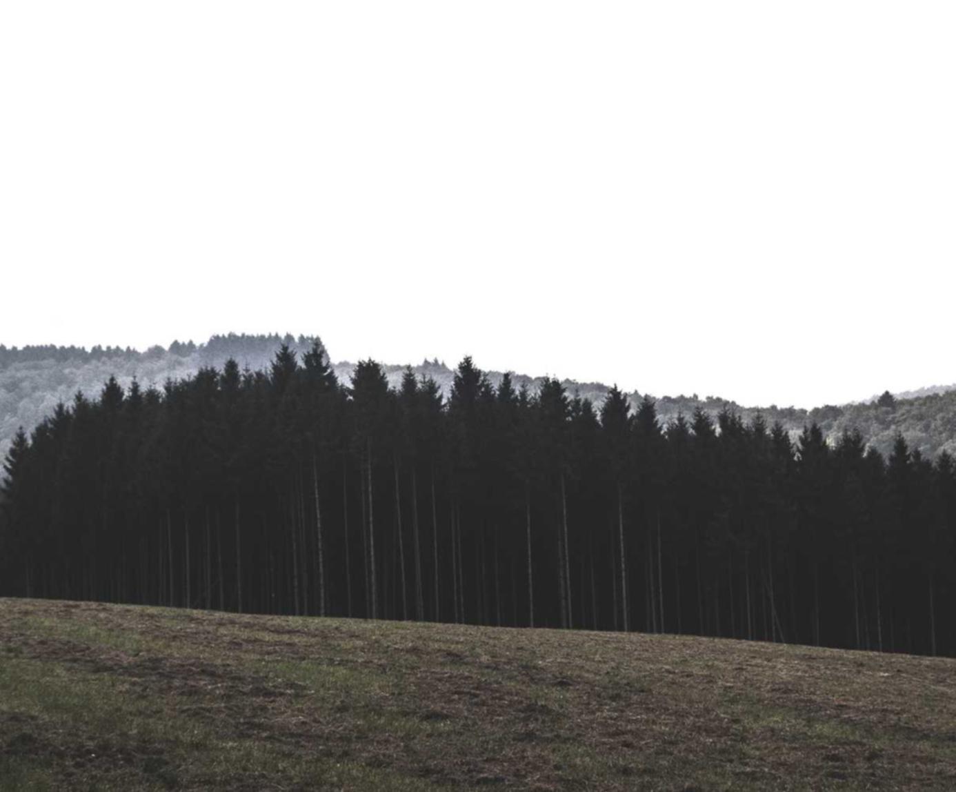 如何防范身份盗窃