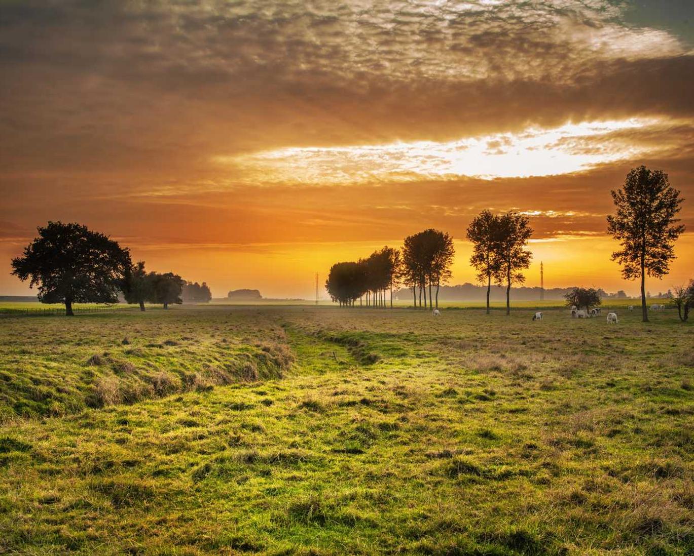 天地ps代理平台