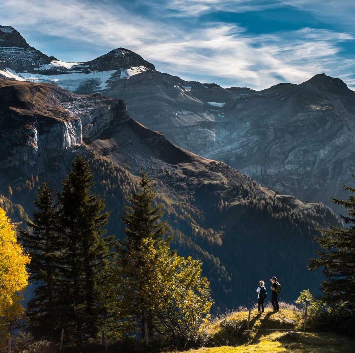 微信号买卖渠道：余杭代理商标注册哪家便宜