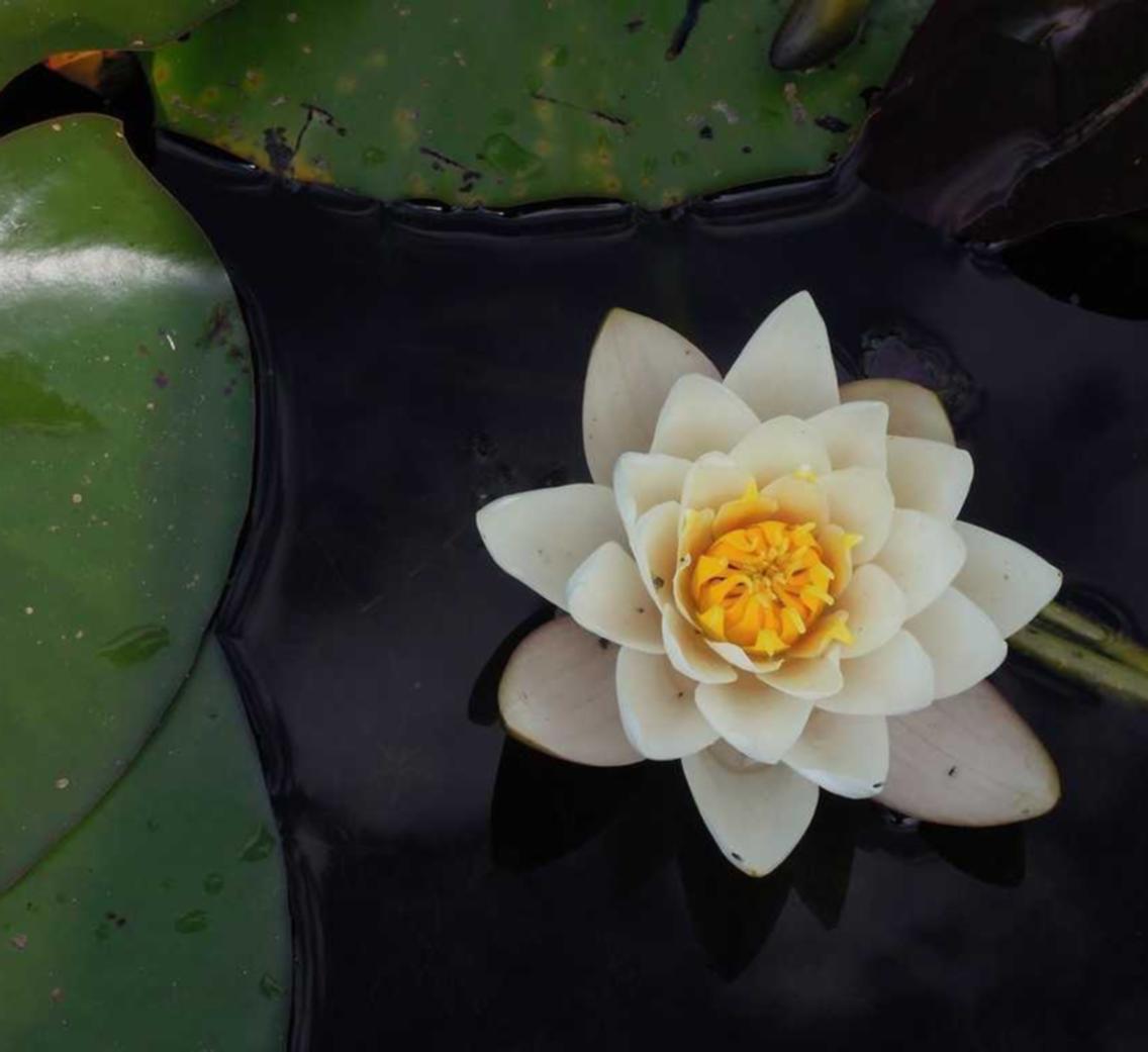 代理新公司注册哪家正规