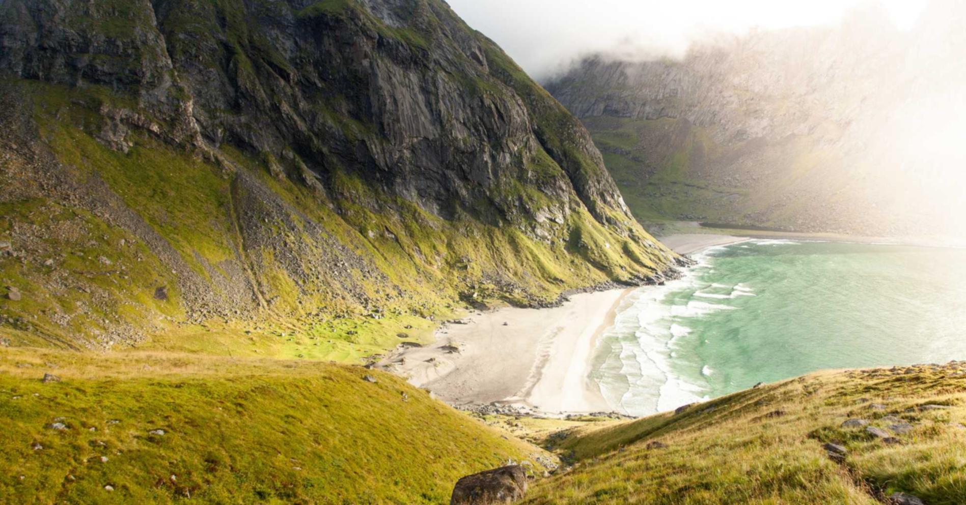 DDOS在线攻击平台|上海品牌注册代理公司