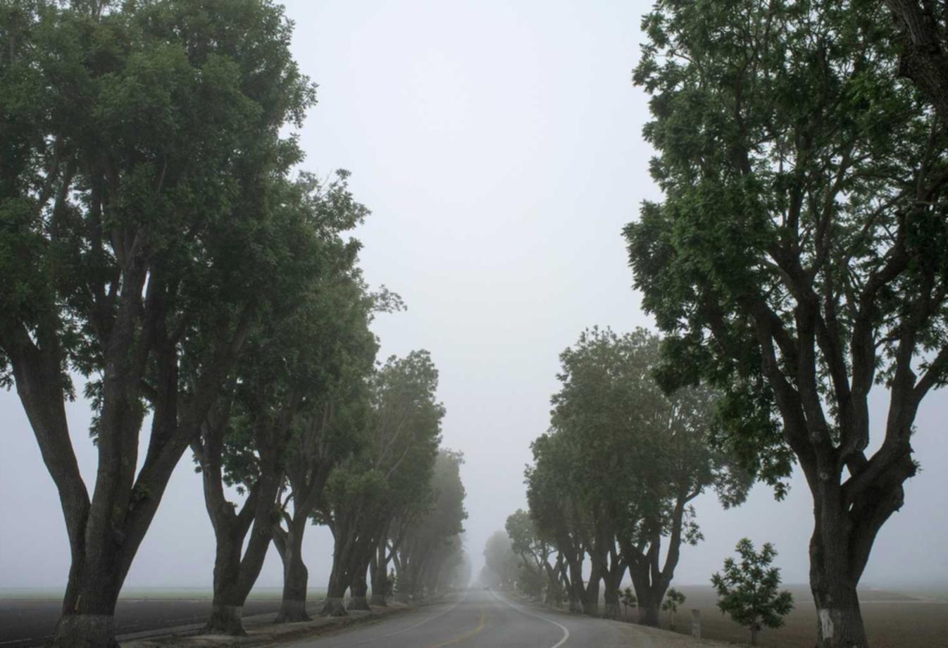 摩臣2个人外汇代理平台