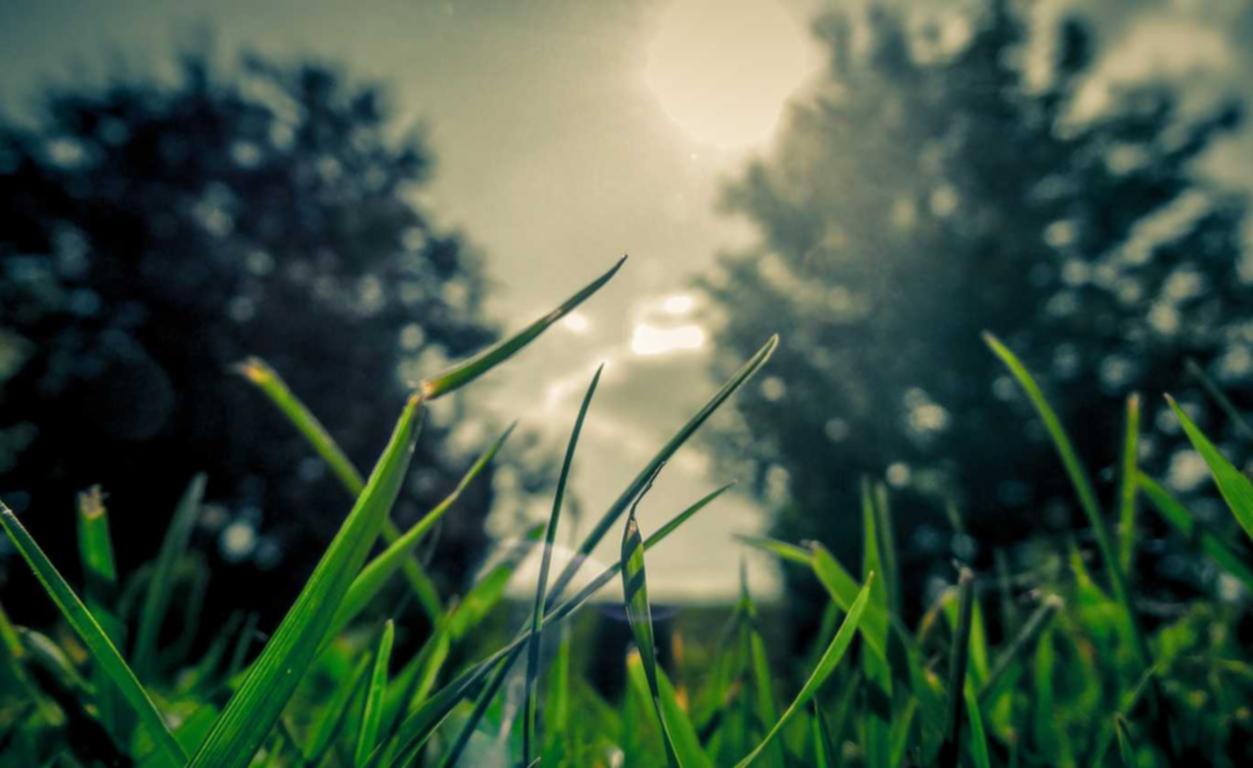 天音移动实名账号：消消乐app详情下载教程