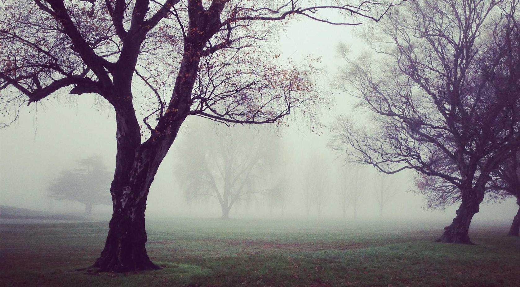 定制实名认证账号:18183详情下载教程app