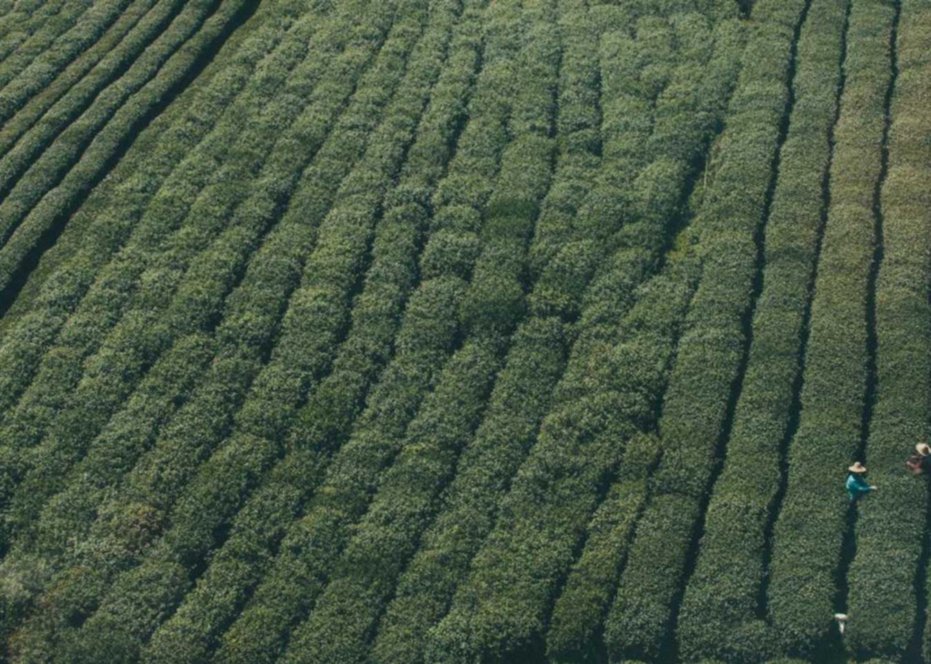 世纪公司注册代理低价