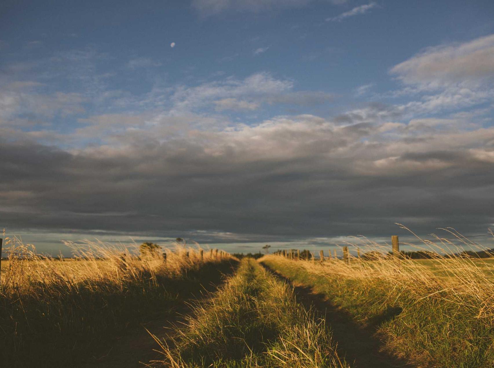 实名账号能否挽救网络公信力