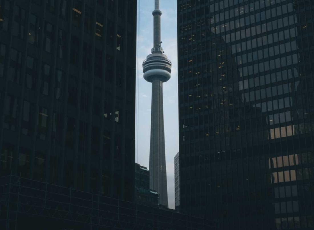 红桃如何建立品牌伙伴关系