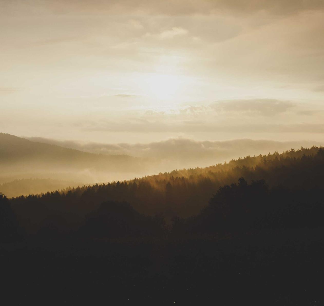 消费者的痛点和幸福度