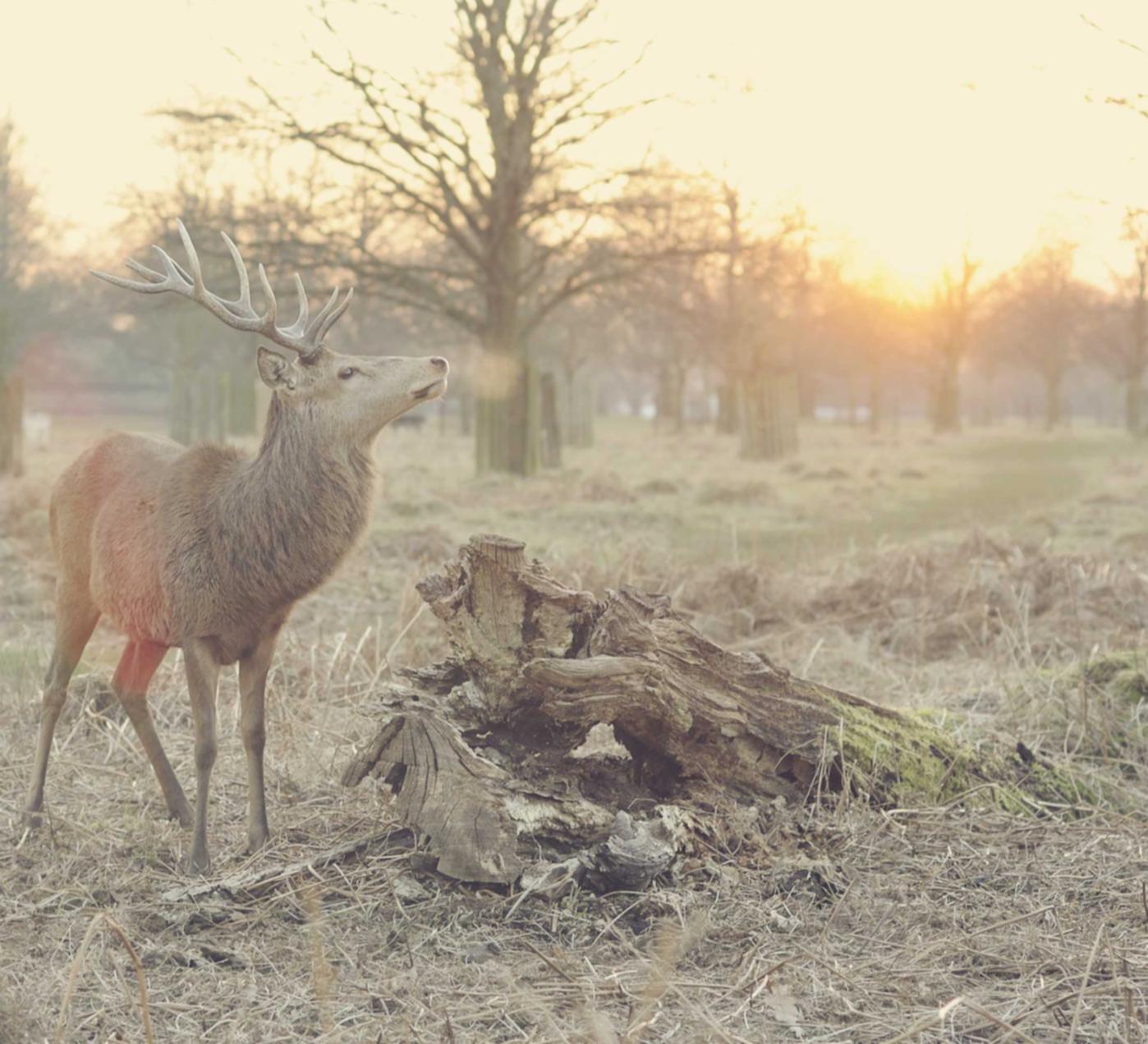 联通卡可以转移动卡吗- 期货国家正规开户平台