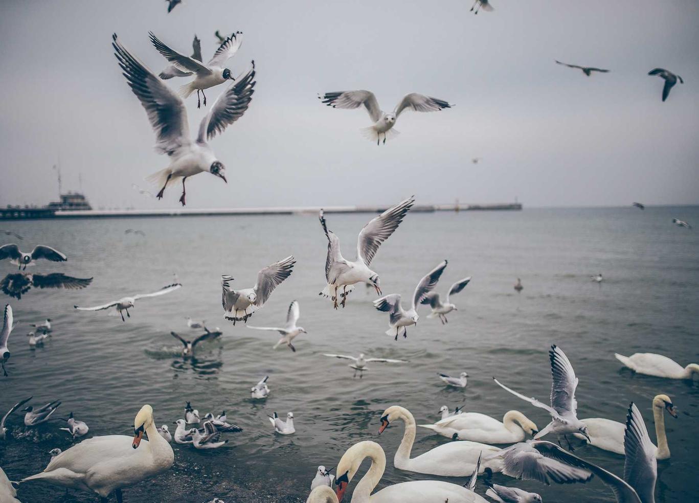 ucloud实名账号:零一app详情下载教程