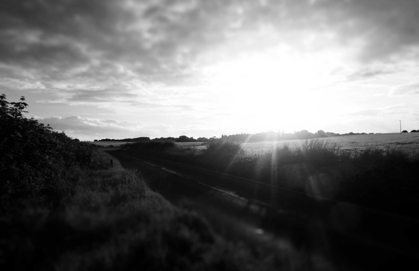 兔子ip实名账号：桂林书画购买平台