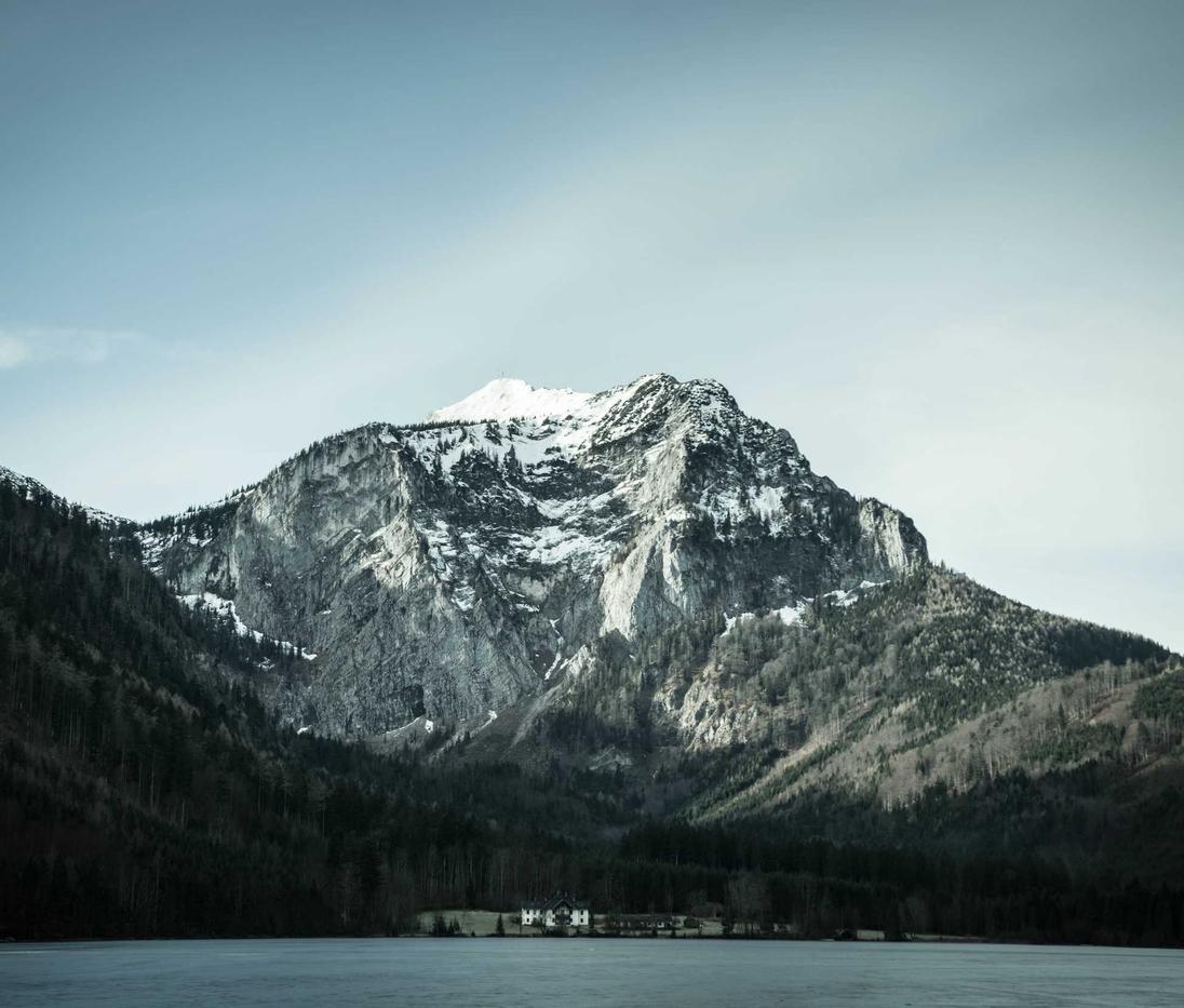 网站实名账号：国泰君安君弘app详情下载教程