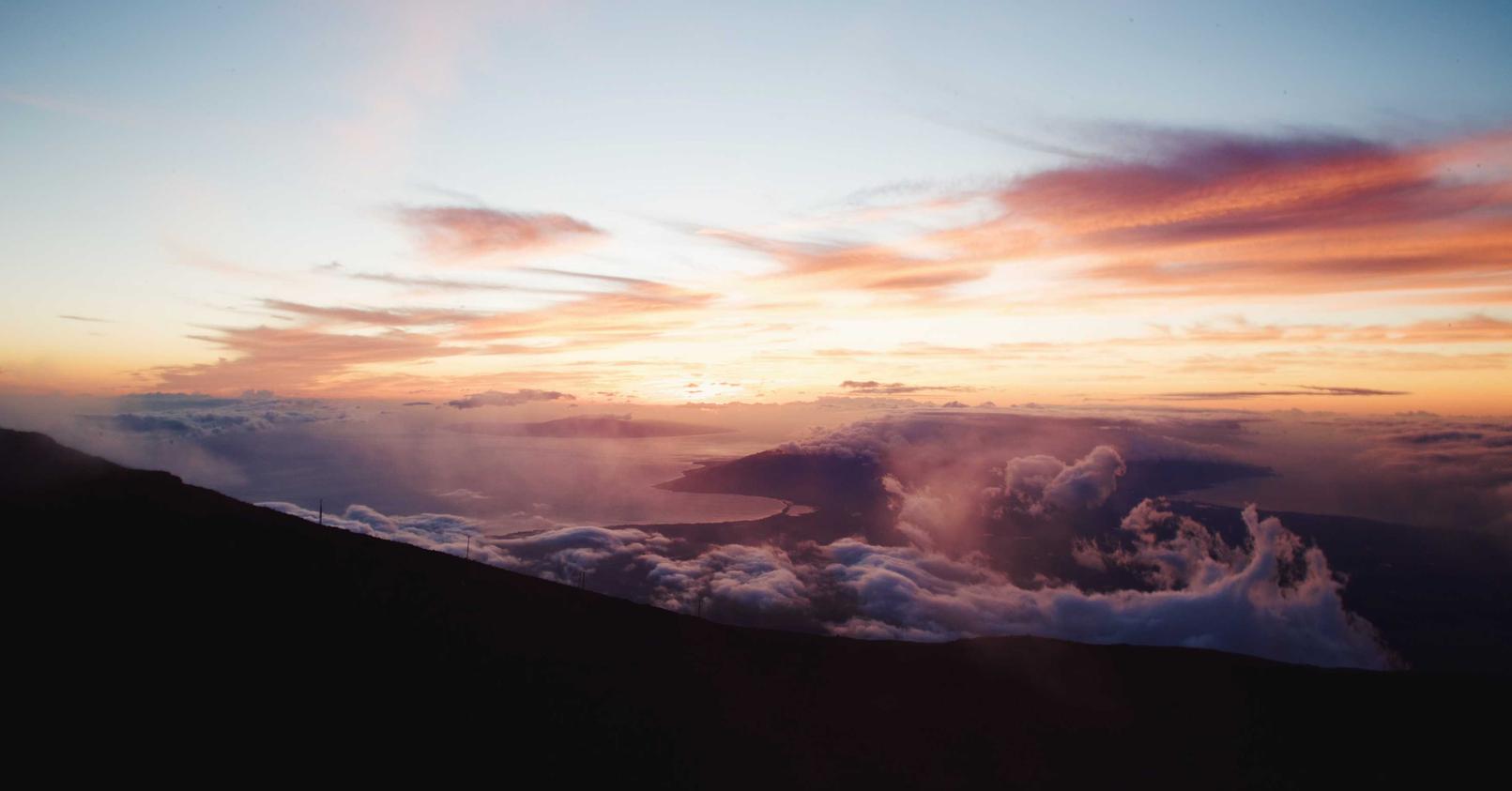 星美生活实名账号：猫咪app最新版怎么详情下载教程