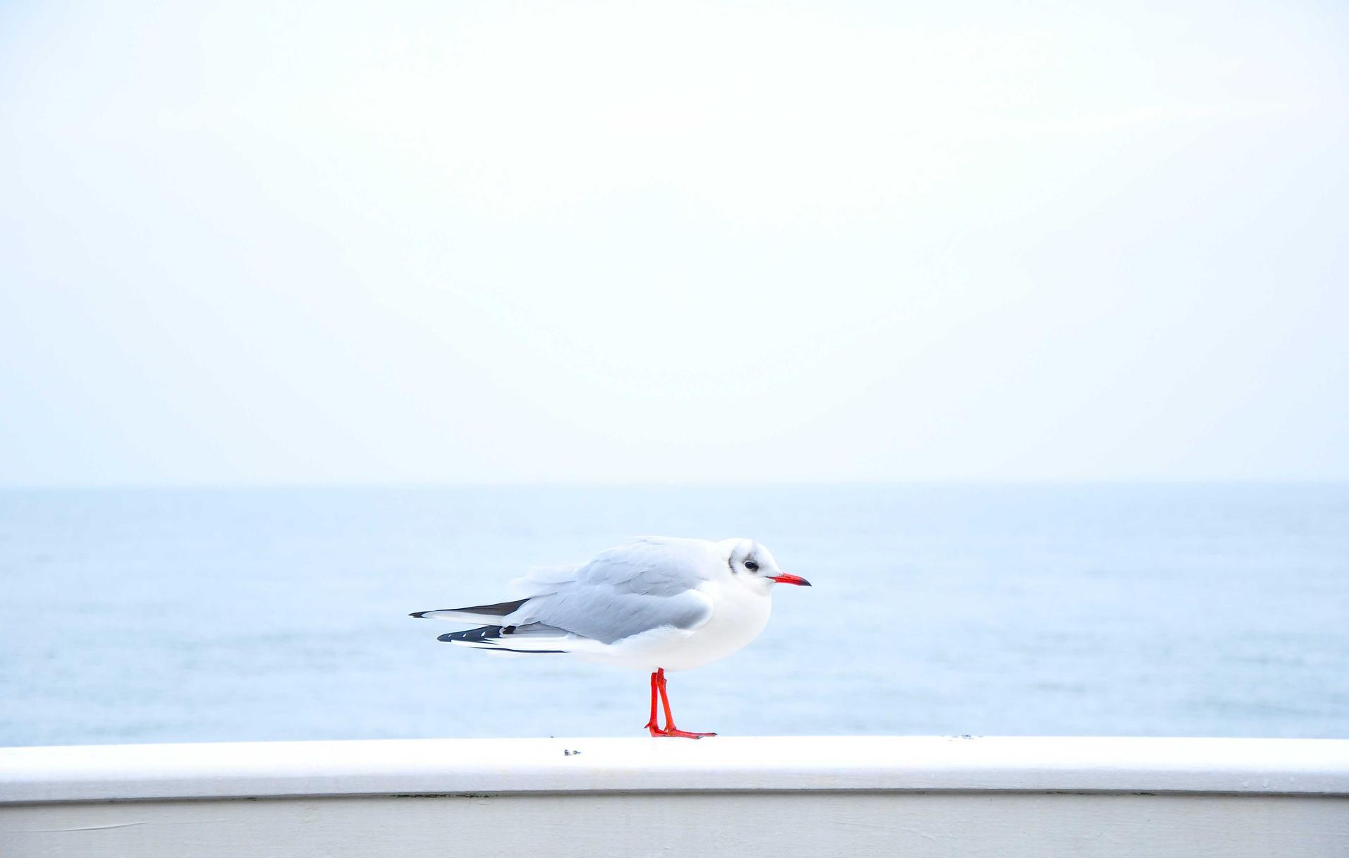 闲鱼实名账号：短信营销中如何增强个性化